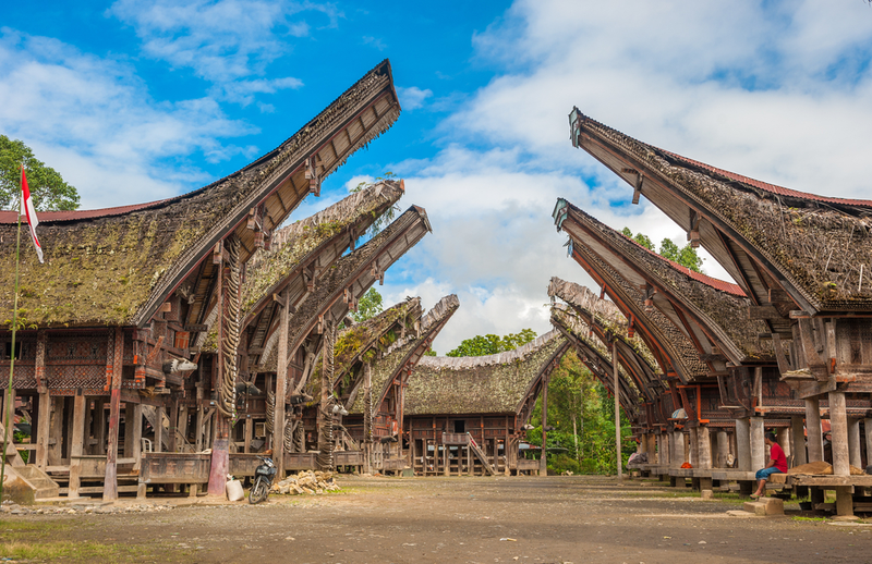 Illustration for article titled Bienvenidos a Toraja, el lugar donde entierran a los niños en el interior de los árboles